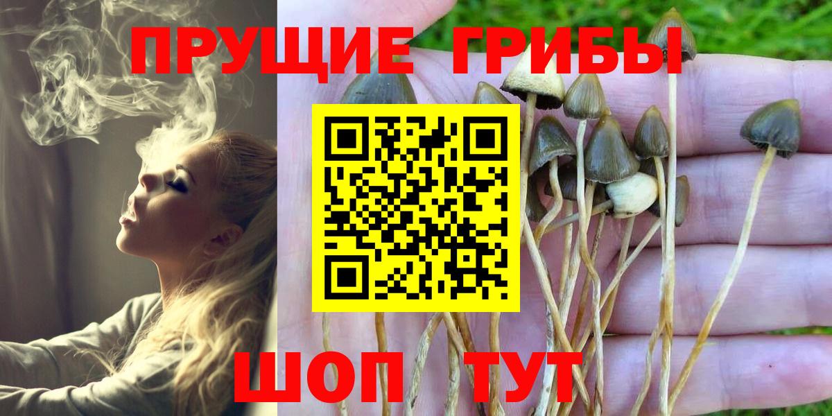 Меф кристаллы  ЭКСТАЗИ  КЕТАМИН  Вход с VPN  Cocaine  Гашиш  ГАШИШ  Каннабис  ТГК  Кодеин  Продажа наркотиков  Муравленко  АМФЕТАМИН кристаллы 